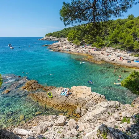 Hostel Ricardo Team-hostel