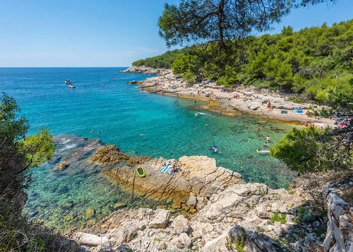 Hostel Ricardo Team-hostel